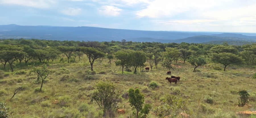 2 Bedroom Property for Sale in Koster North West